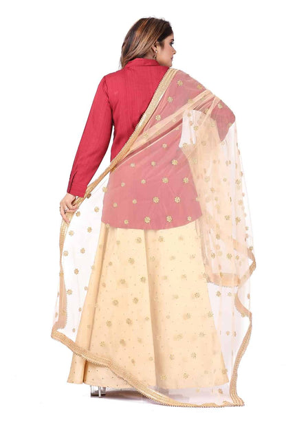 Light Gold Banarasi Net Zari Work Dupatta